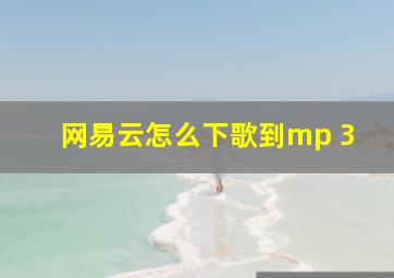 网易云怎么下歌到mp 3